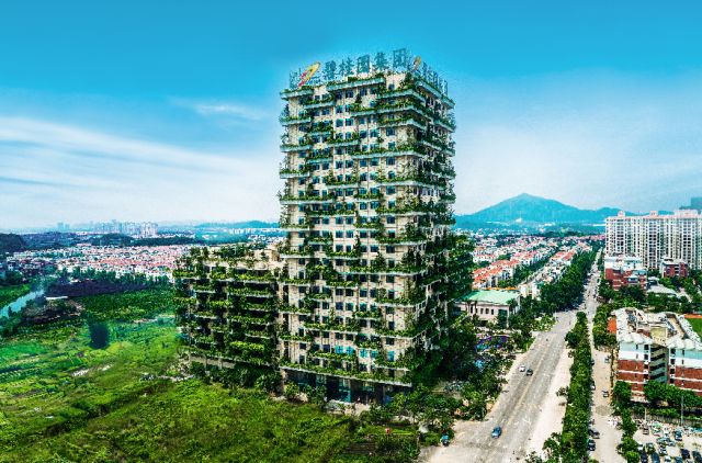 4949澳门精准免费大全凤凰网9626,探索澳门，凤凰网4949精准免费大全与9626的魅力
