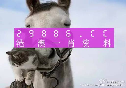 澳门一肖一码准选一码2023年,澳门一肖一码准选一码之探索（2023年深度解析）