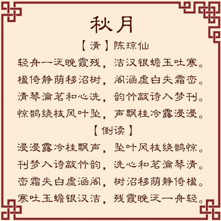 白小姐449999精准一句诗,白小姐449999精准一句诗的魅力与启示