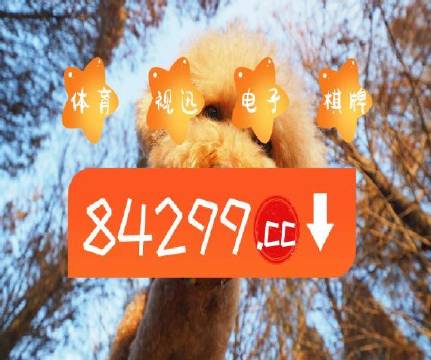 推荐 第439页