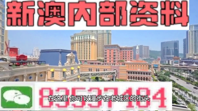 新澳门最精准正最精准龙门,新澳门最精准龙门之秘
