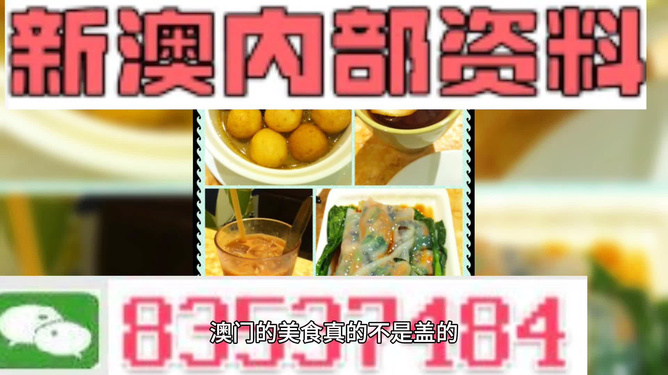 澳门免费公开资料最准的资料,澳门免费公开资料最准的资料，探索与解读