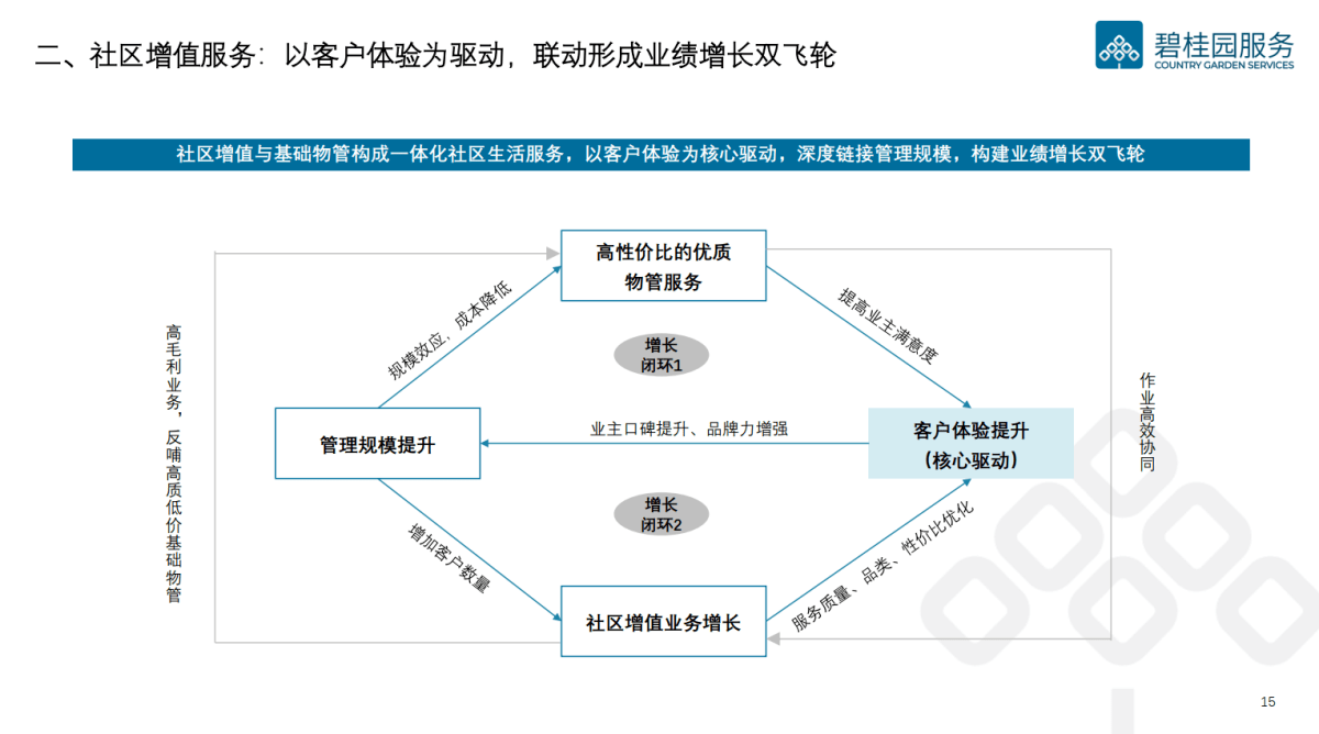 2025新澳今晚资料,探索未来，2025新澳今晚资料解析