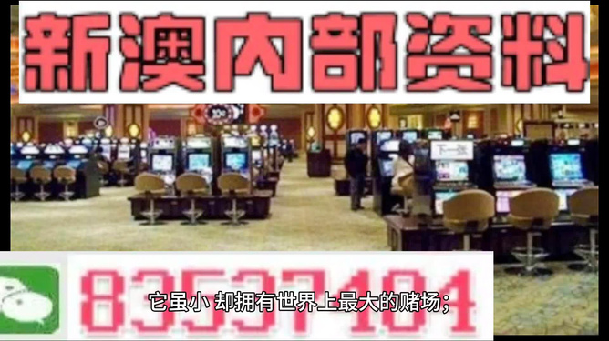 澳门精准正版免费大全14年新,澳门精准正版免费大全，探索澳门新面貌的14年之旅