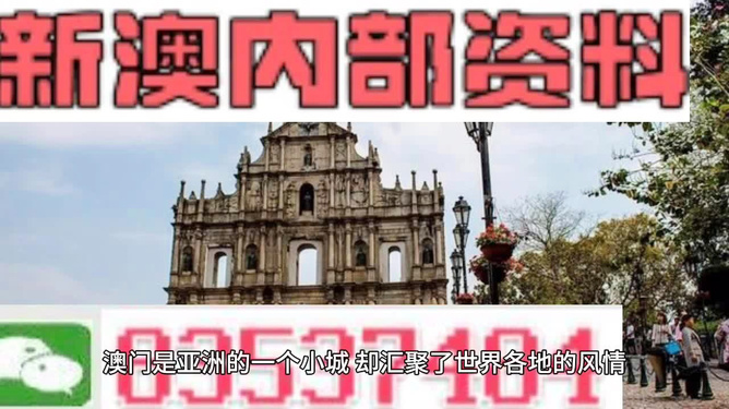 新澳门资料大全免费新鼬,新澳门资料大全免费新鼬，探索与发现