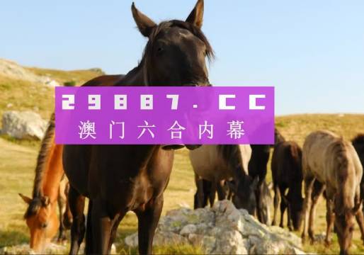 澳门管家婆一肖一码2025年,澳门管家婆一肖一码2025年，预测与探索
