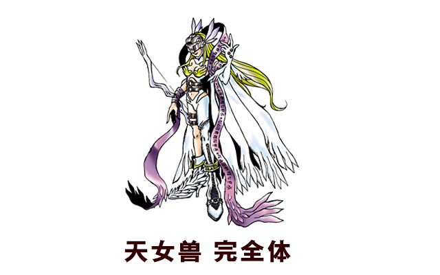 三肖必中三期必出资料,揭秘三肖必中三期必出资料，探索神秘数字世界的秘密