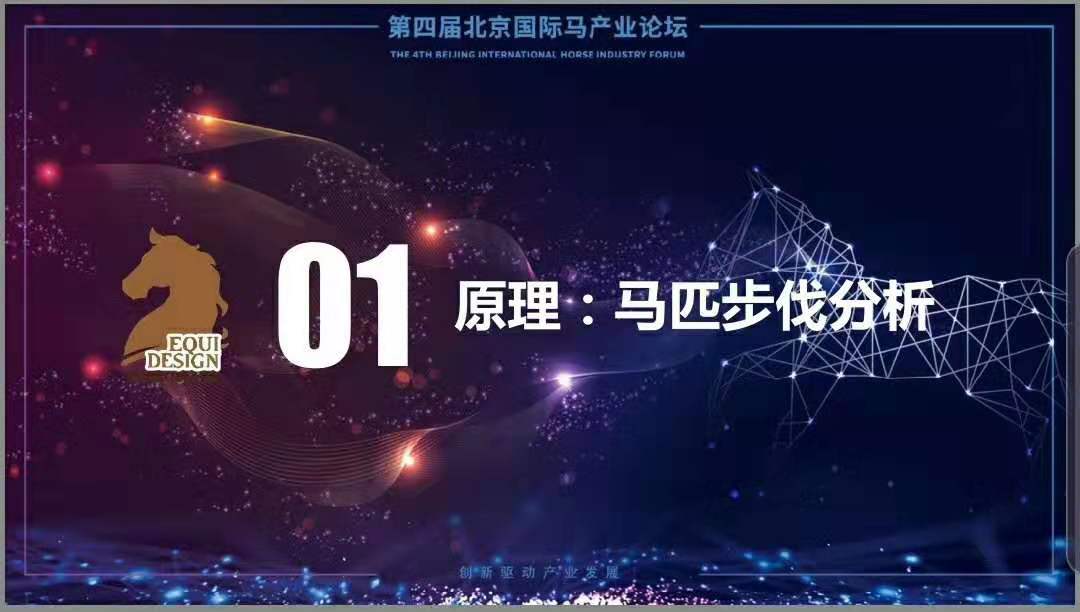 2025澳门今天特马开什么,探索澳门今天特马开奖的神秘面纱——2025年的独特视角