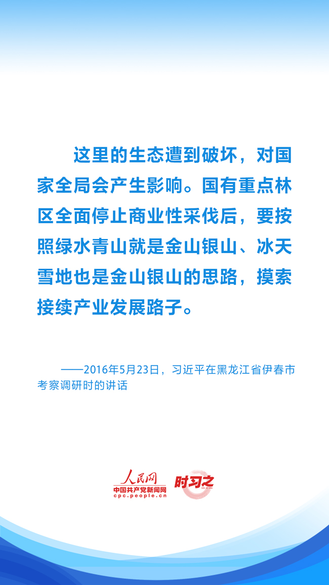 新奥长期免费资料大全,新奥长期免费资料大全，探索与学习的宝库