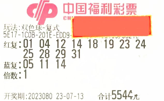 2025香港历史开奖记录,香港彩票的历史开奖记录，探索2025年的数据