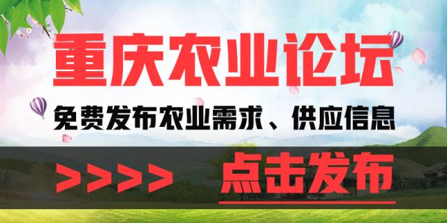 新奥好彩免费资料大全,新奥好彩免费资料大全——探索与利用