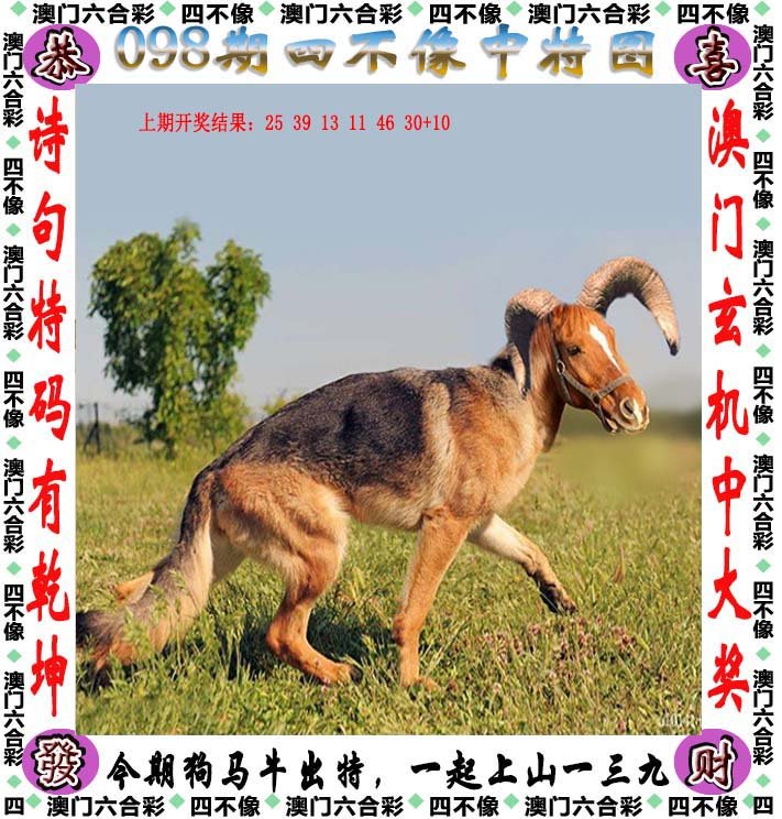 2025澳门精准四不像正版,澳门正版2025年精准四不像新探索