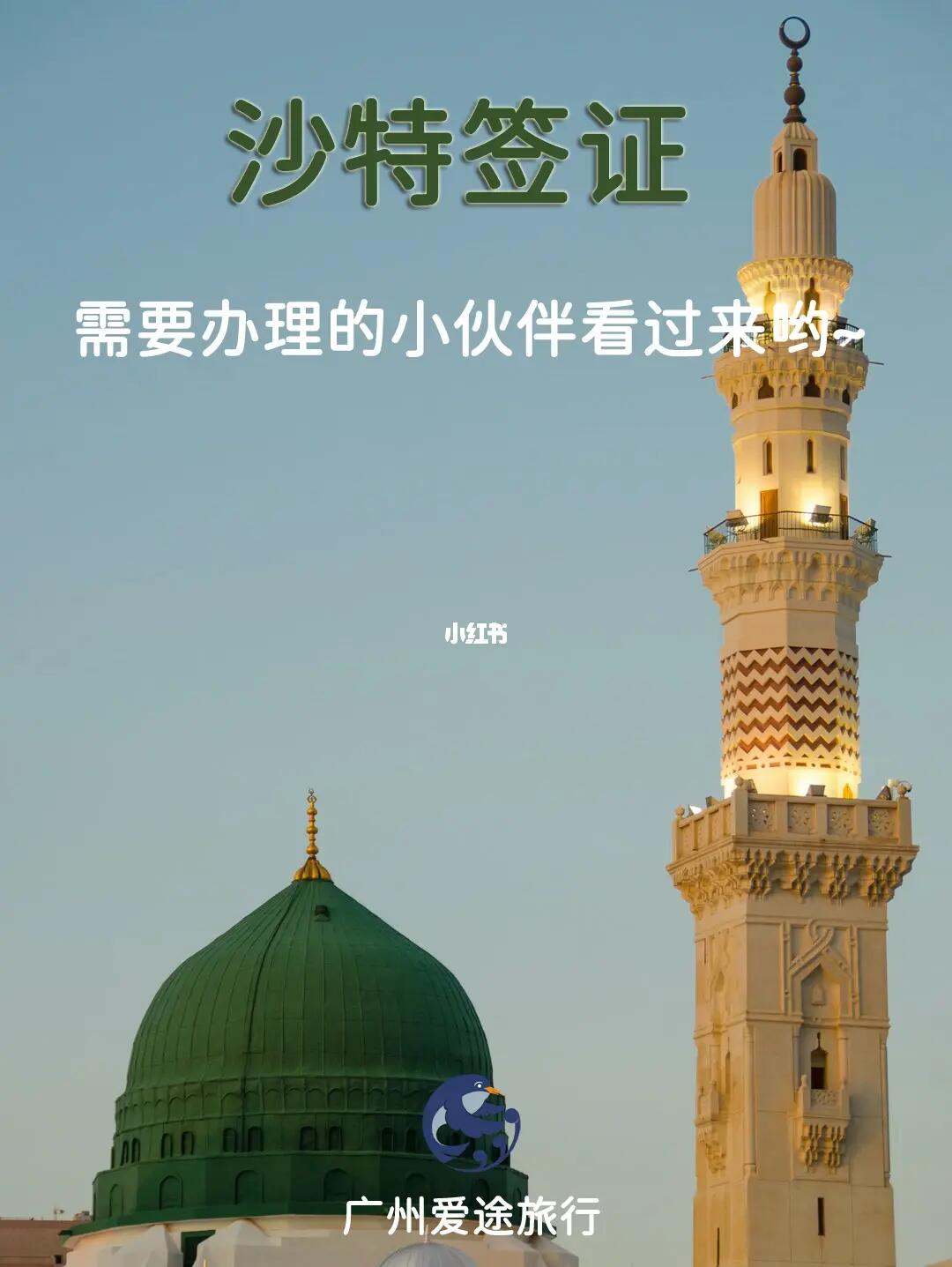 沙特阿拉伯签证最新政策,沙特阿拉伯签证最新政策详解