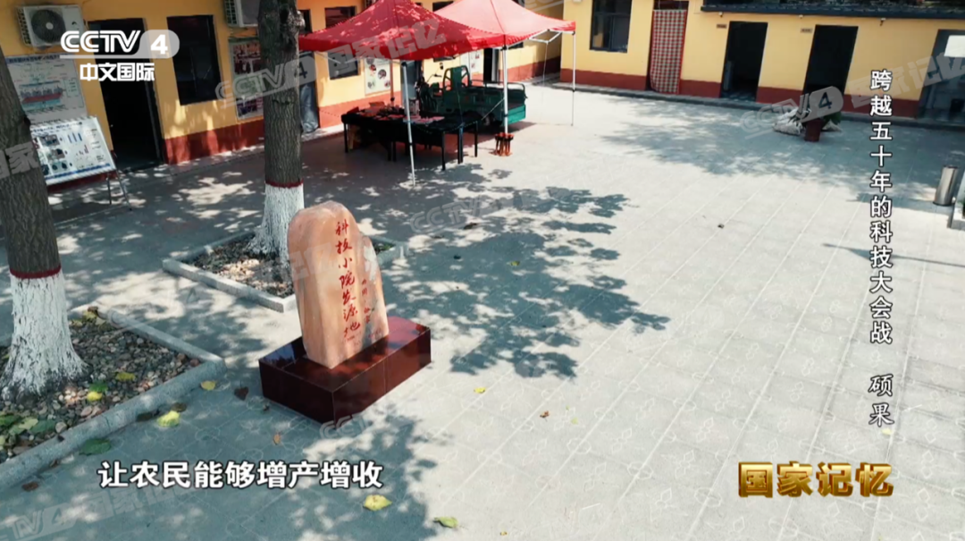 曲周县白寨镇最新消息,曲周县白寨镇，最新发展动态与地区振兴举措