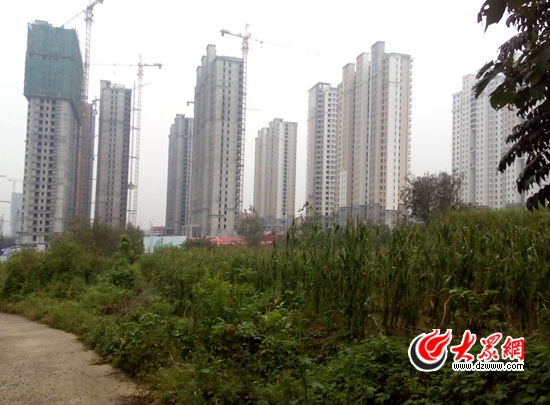 建大花园三期最新消息,建大花园三期最新消息，揭开未来的绿色生活序幕
