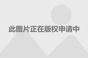 长安最新款mpv欧瑞,长安最新款MPV欧瑞，科技与舒适的完美结合