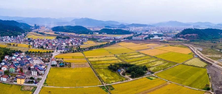 电白水东最新地皮信息,电白水东地区最新地皮信息详解