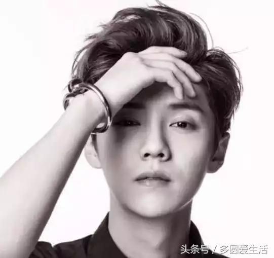 鹿晗热巴最新一期拥抱,鹿晗热巴最新一期拥抱，星光下的暖心瞬间