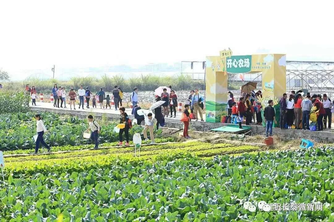 长泰人才网最新招聘信息古农农场,长泰人才网最新招聘信息与古农农场的发展动态