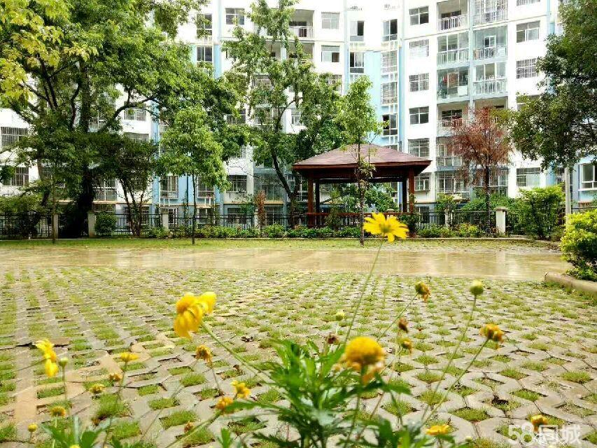 麻栗坡二手房最新消息,麻栗坡二手房市场最新动态解析