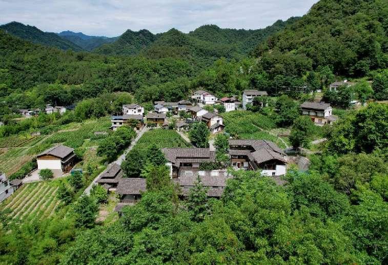 资讯 第337页