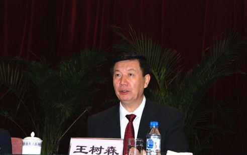 吉林省王树森最新消息,吉林省王树森最新消息，一位杰出领导者的成长与贡献