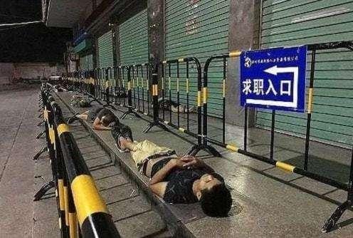 龙华三和人才市场最新招聘信息,龙华三和人才市场最新招聘信息概览