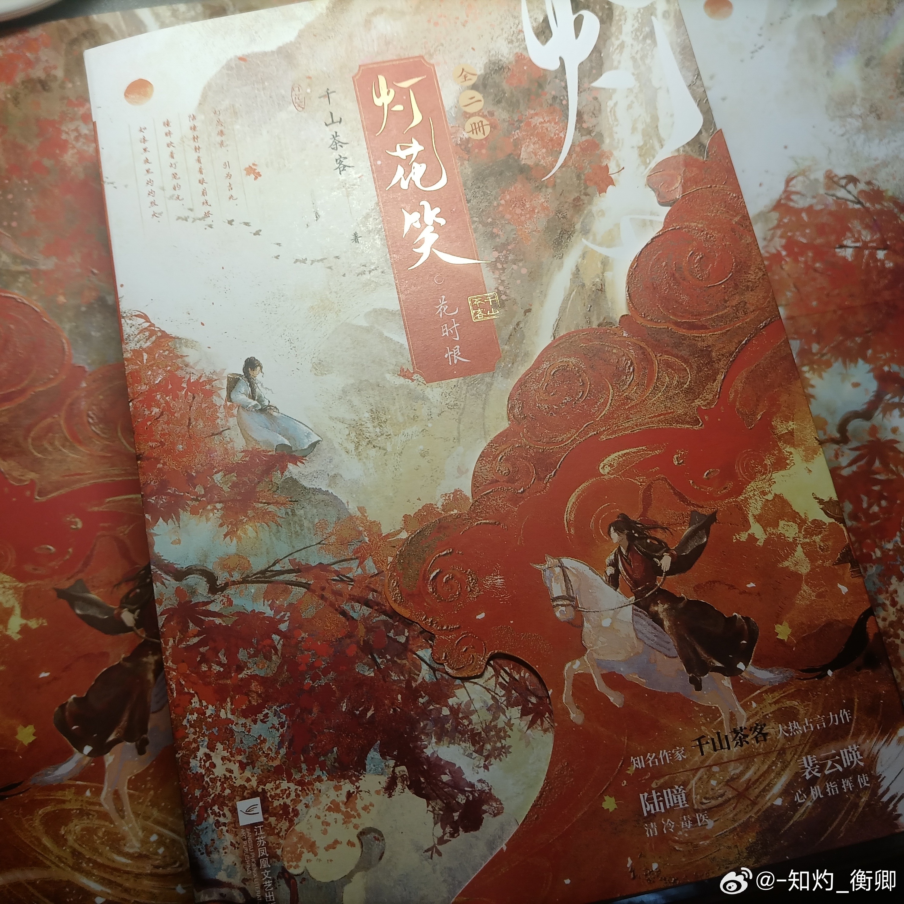 灯花笑最新一章暴雨完整版,灯花笑最新一章，暴雨完整版