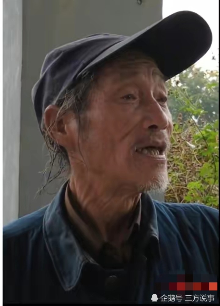 陈金观最新消息,陈金观最新消息，揭开他的多重身份与未来展望