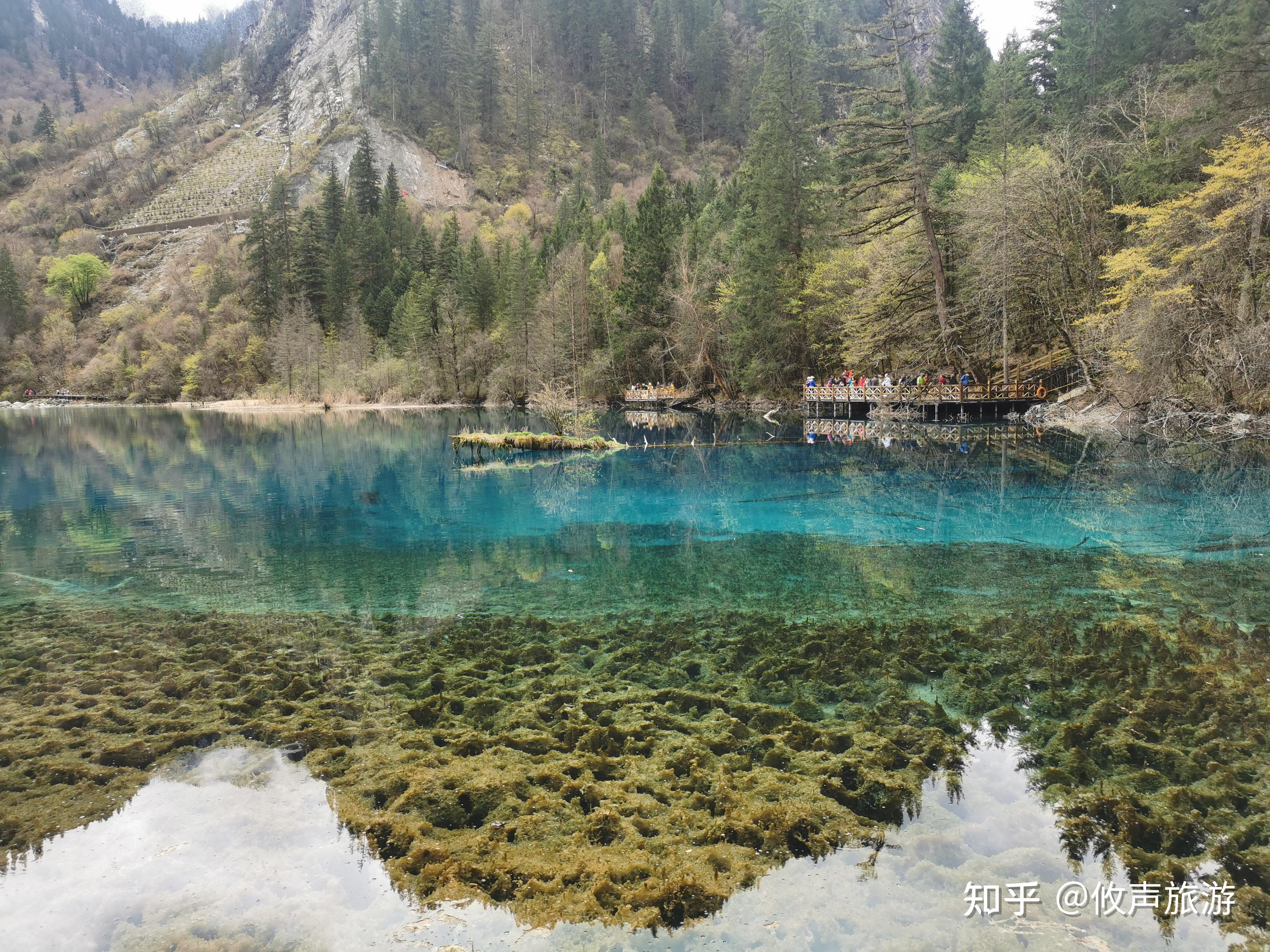 最新九寨沟旅游攻略,最新九寨沟旅游攻略