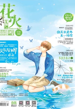 花火杂志最新一期期号,花火杂志最新一期期号，探索前沿文化，展现独特魅力