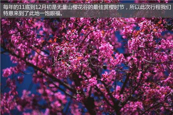 56o宝骏汽最新,宝骏汽车最新动态，探索56o系列的创新之路