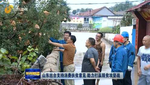 资讯 第295页