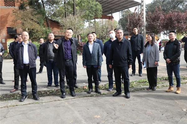 二重重装重组最新消息,二重重装重组最新消息，行业变革与企业重组的新动态