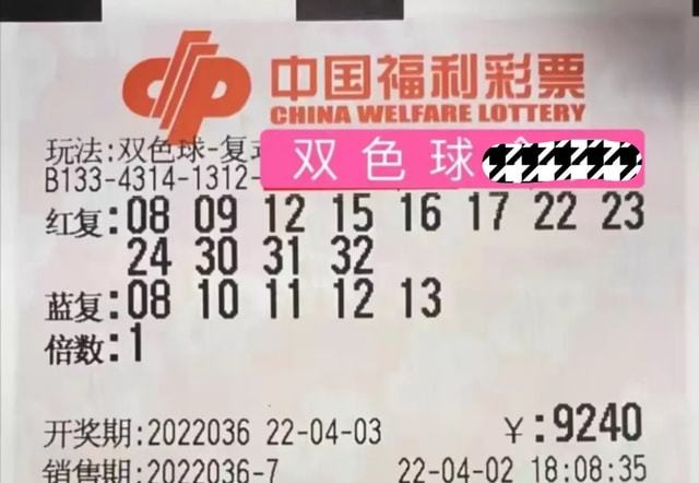 4949澳门特马今晚开奖53期,澳门特马第53期开奖揭晓，期待与现实的交汇