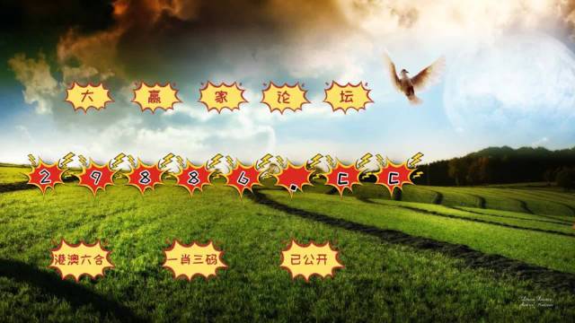 新澳门开奖结果2025开奖记录,澳门新开奖结果2023年及未来开奖记录展望