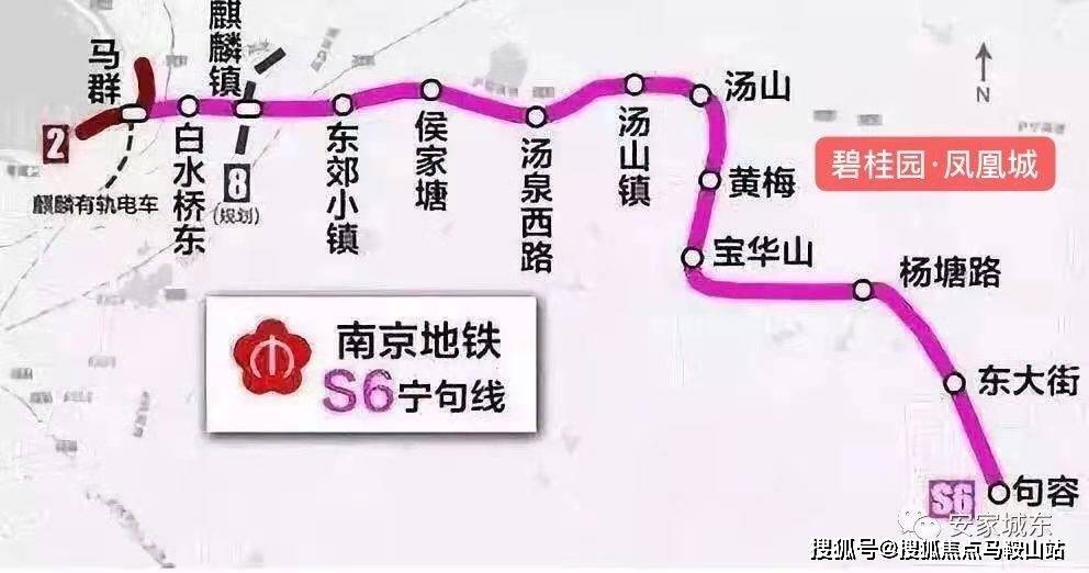 澳门最新资料2025年,澳门最新资料2025年展望，未来城市的发展与展望