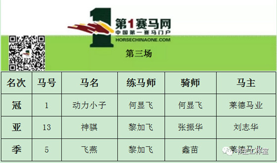 今天澳门晚上出什么马,今天澳门晚上出什么马——探索澳门赛马文化