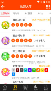 澳门王中王100%期期中,澳门王中王100%期期中，揭秘彩票背后的秘密与探索成功的可能性