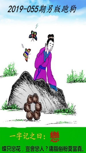 跑狗图993994www跑狗,跑狗图，一种独特的文化现象与公众娱乐