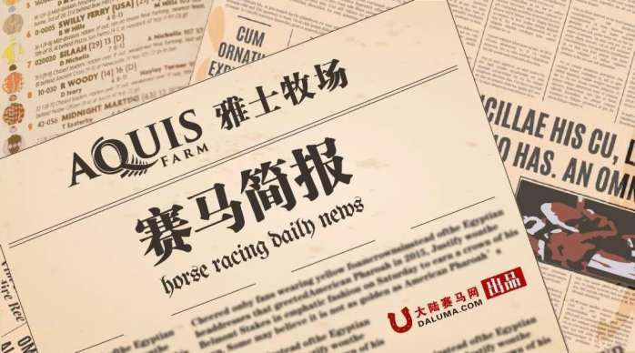 2025澳门特马今晚开奖93,澳门特马今晚开奖，探索彩票背后的故事与未来展望（2025年）