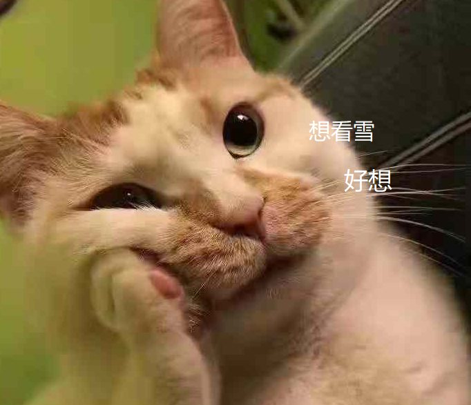 今天的四不像图肖图,揭秘今日四不像图肖图的神秘面纱
