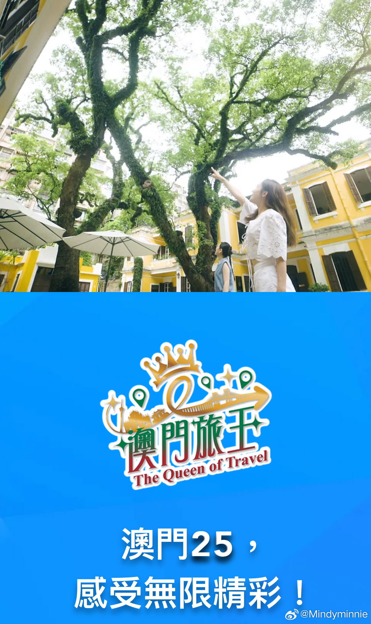 新澳门跑狗图,新澳门跑狗图的魅力与探索
