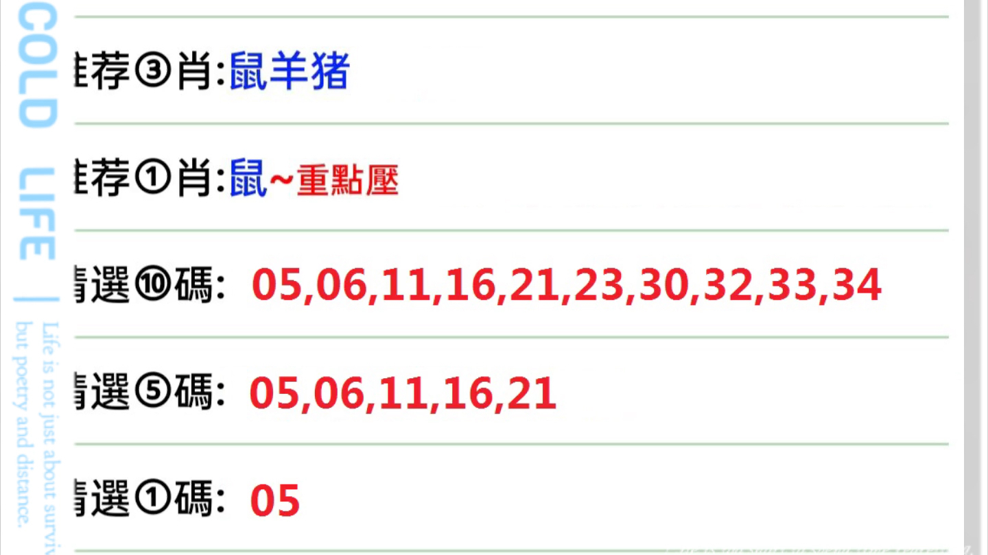今晚澳门码特开什么号码,今晚澳门码特开什么号码——探索未知的幸运之门