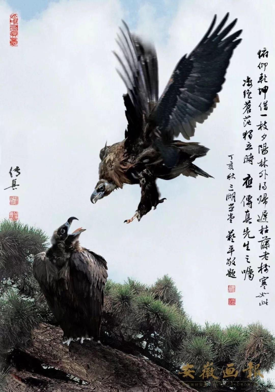 资讯 第249页