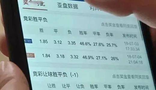2025澳门天天开好彩大全app,澳门天天开好彩大全app，警惕背后的风险与犯罪问题