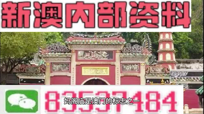 精准黄大仙内部资料大全,精准黄大仙内部资料大全揭秘