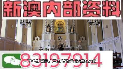新澳内部期期精准,新澳内部期期精准，揭秘成功的秘诀与策略