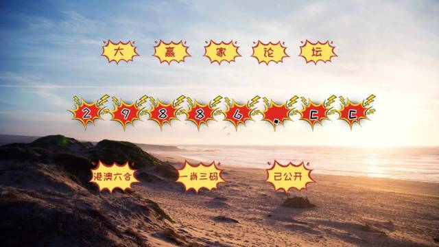 494949最快开奖结果,揭秘494949最快开奖结果，真相与策略解析