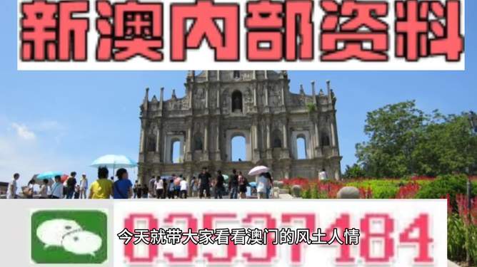 新澳2025今晚王中王免费资料,新澳2025今晚王中王免费资料揭秘与深度解析